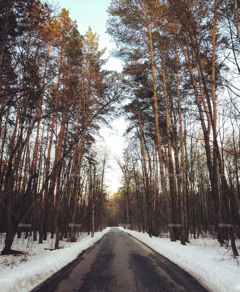 Winter road