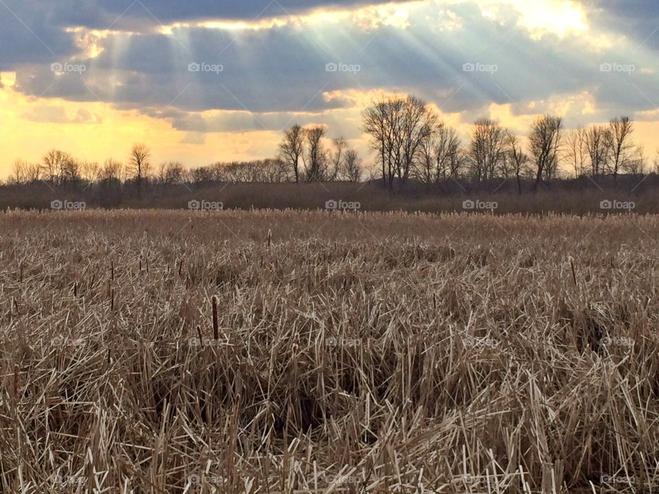 Through the clouds. Sunlight peaking thru the clouds on the marsh