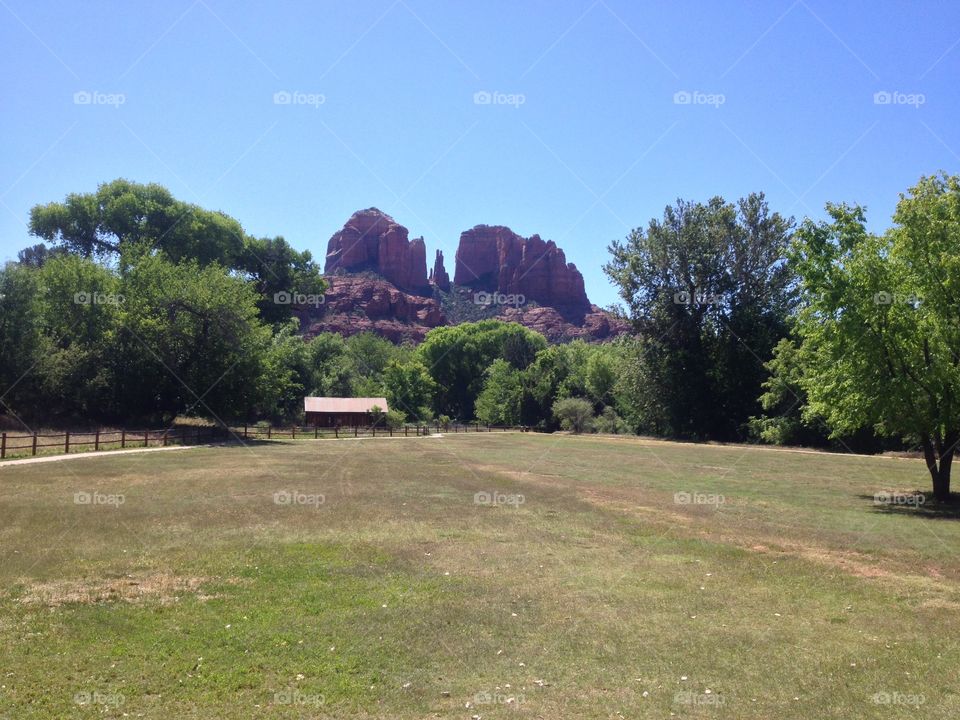 Cathedral Rock Meadow. A Meadow with Rock Formations in the Distance