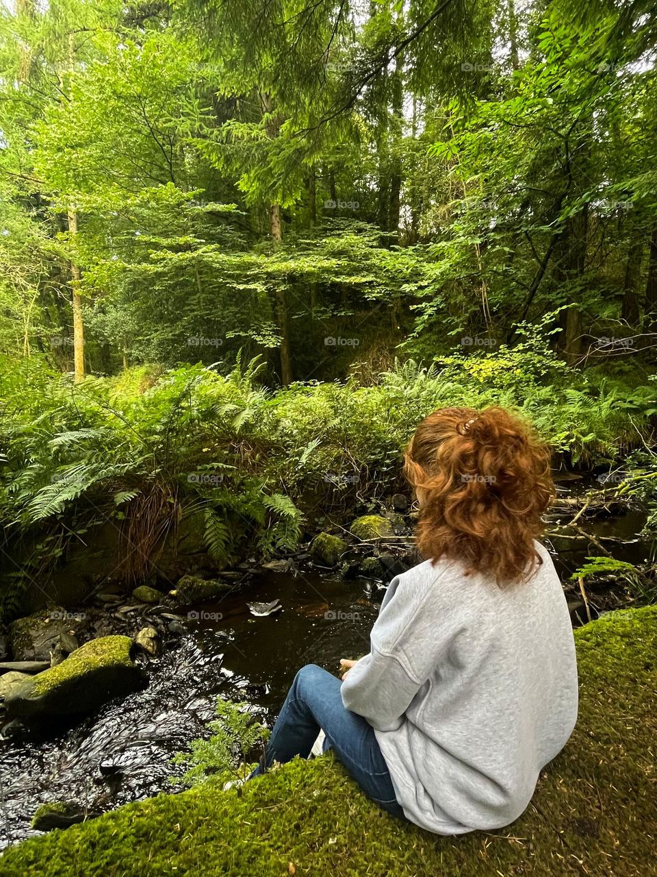 Sitting in the forest 