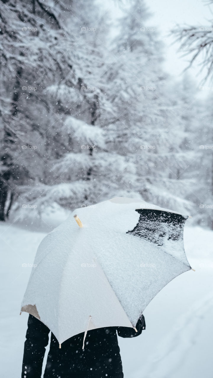 Person Using Umbrella Walking On Snow Field