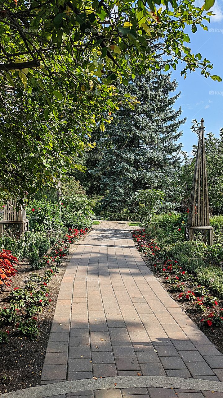 a walk through the garden