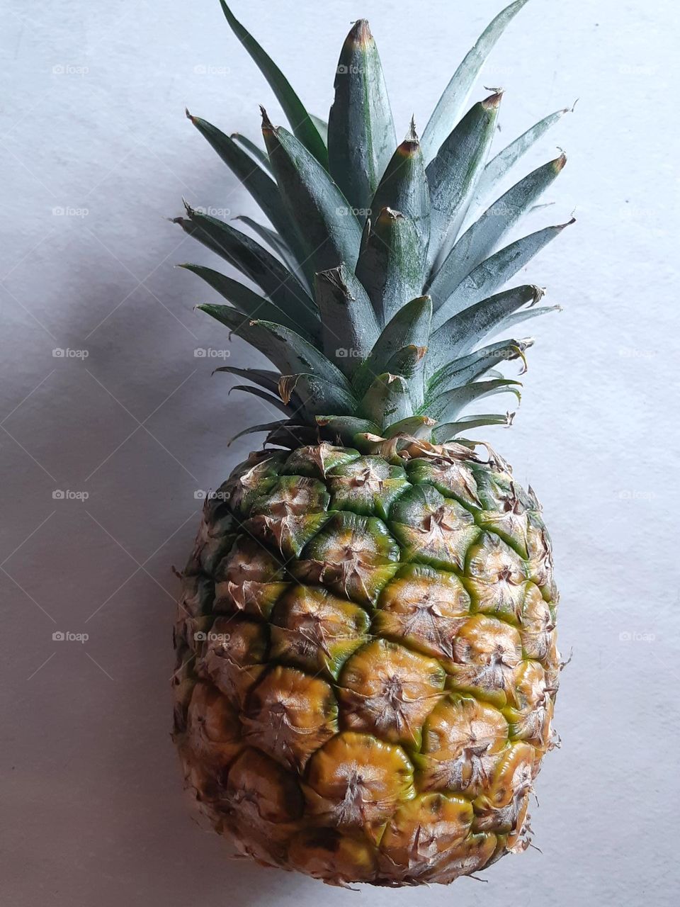 Pineapple against on grey background
