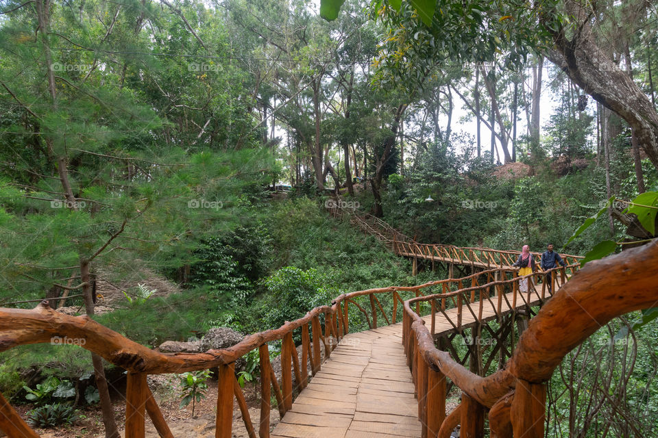 pathway in the middle of the woods. Edited a little bit exposure, contrast, color and shadow. Please let me know, should you need the original picture as was shot.