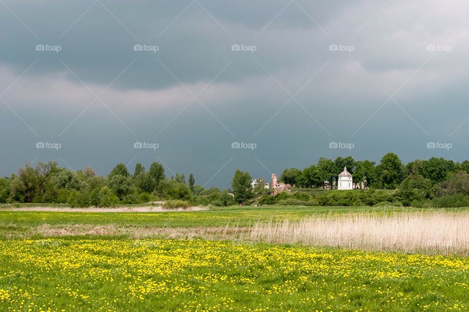 tree no people nobody horizontal by przemekklos