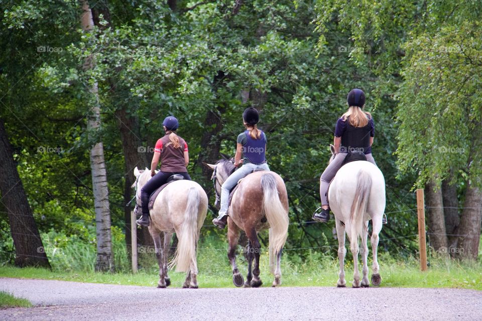 Summer with horses . Horse riding in the summer 