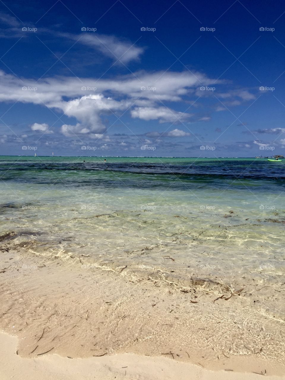 Ocean Shore of the Dominican Republic 