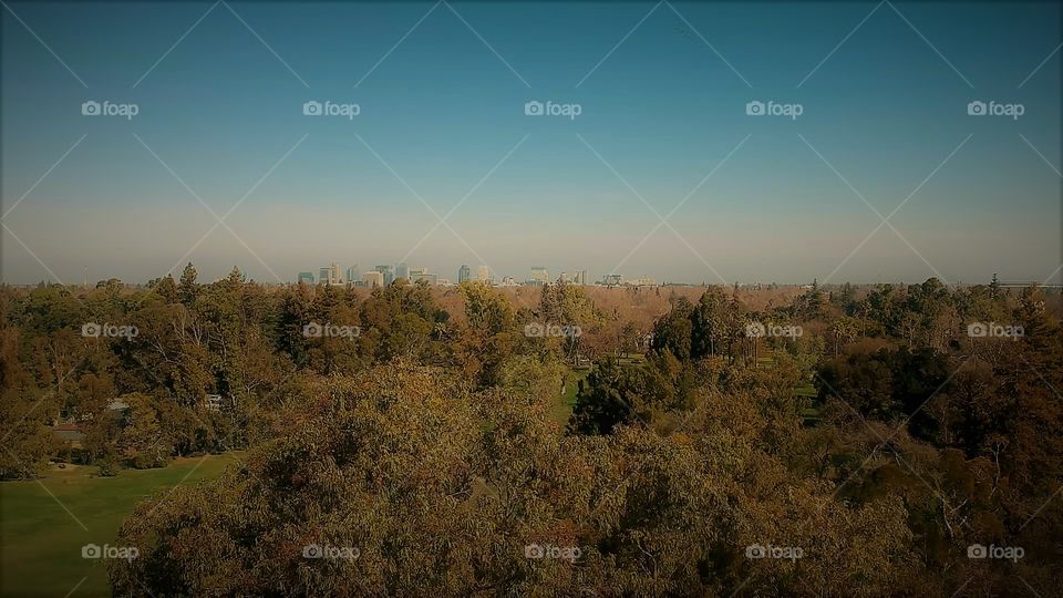 drone photography, up in the air, of a metropolitan City on the horizon