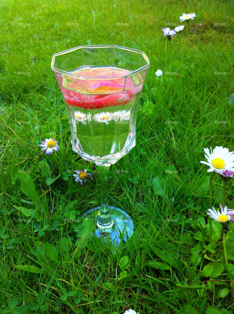 herbs flower glass glasses by mirre
