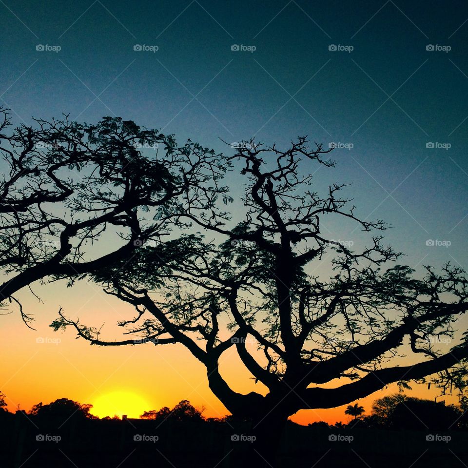 FOAP MISSIONS - 🌄🇺🇸 An extremely beautiful dawn in Jundiaí, interior of Brazil. Cheer the nature! / 🇧🇷 Um amanhecer extremamente bonito em Jundiaí, interior do Brasil. Viva a natureza!