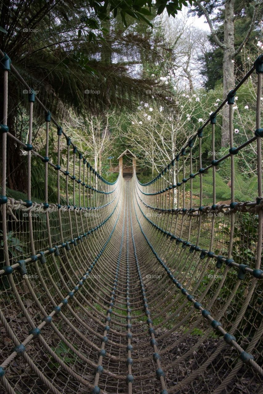 Rope Bridge, Lost Gardens of Heligan, Cornwall, England 