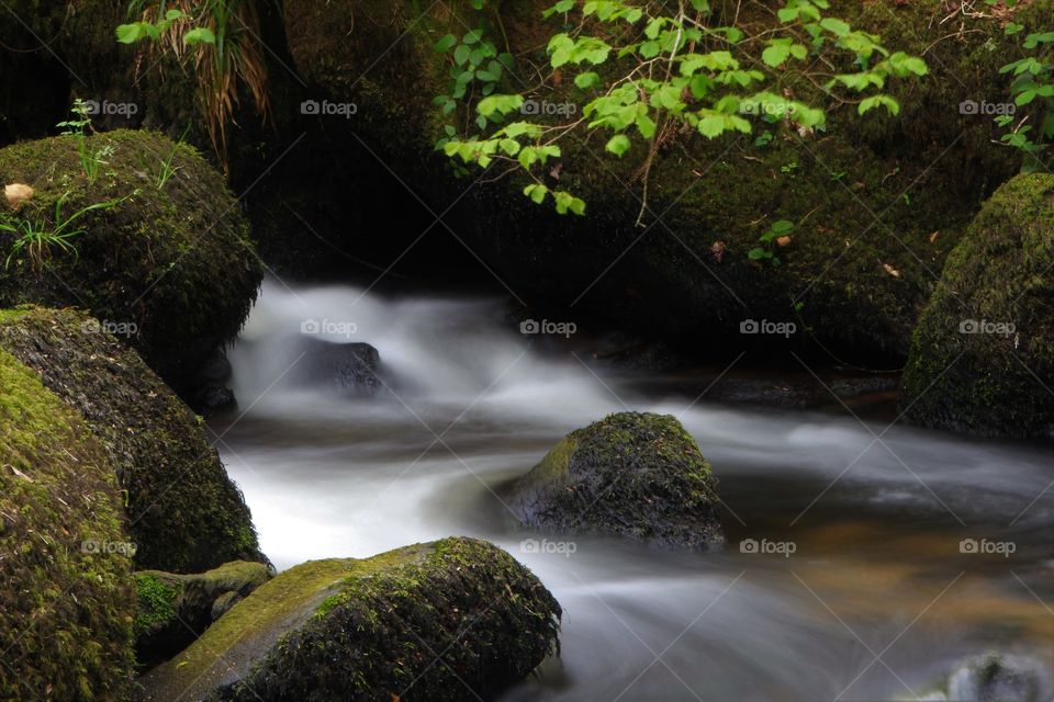 River Bovey