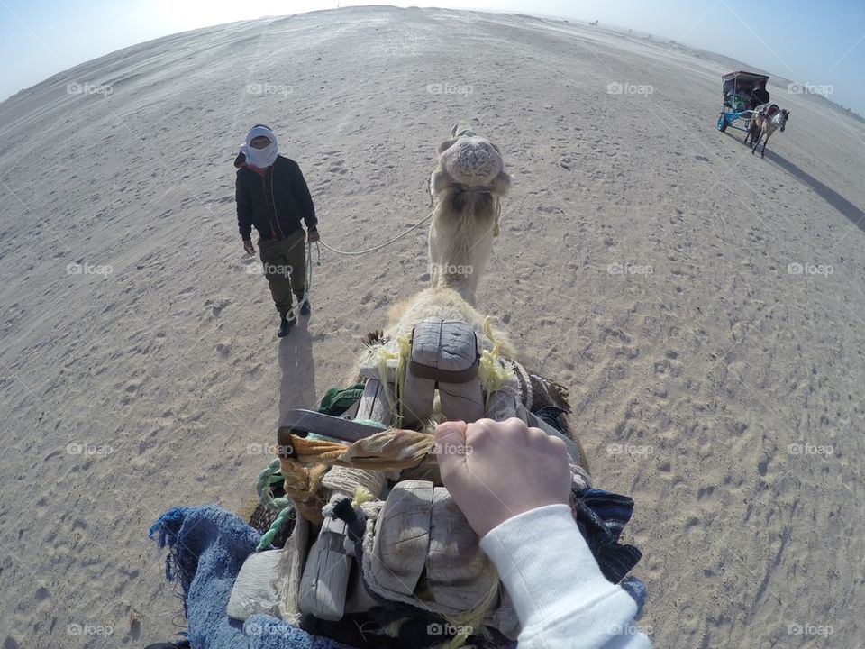 Camel ride in the Sahara desert in Tunisia  
