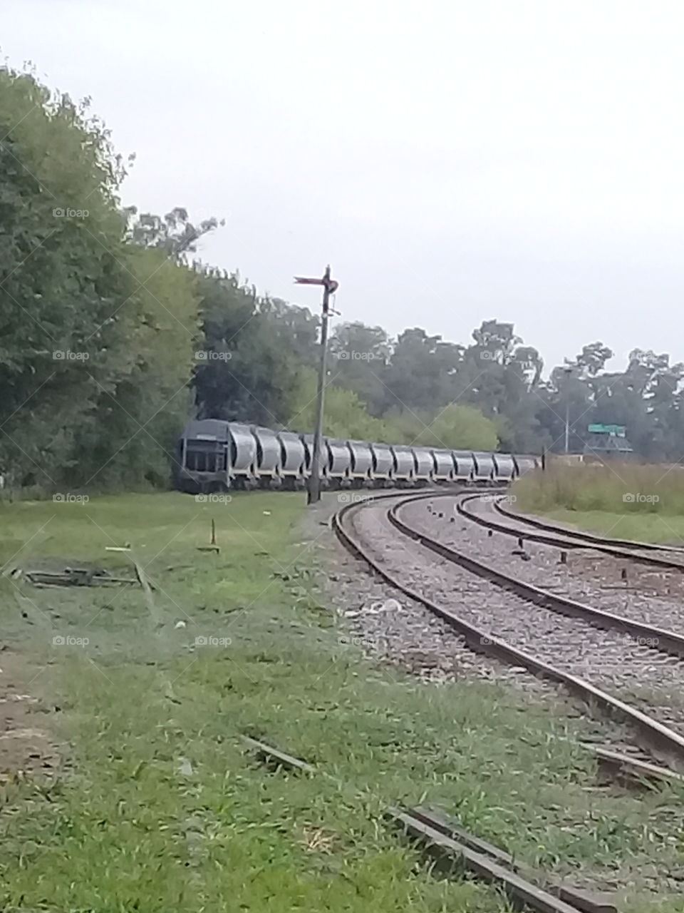 vagones cisterna de un tren de carga en desuso ubicados sobre la vía muerta de un ferrocarril rural.