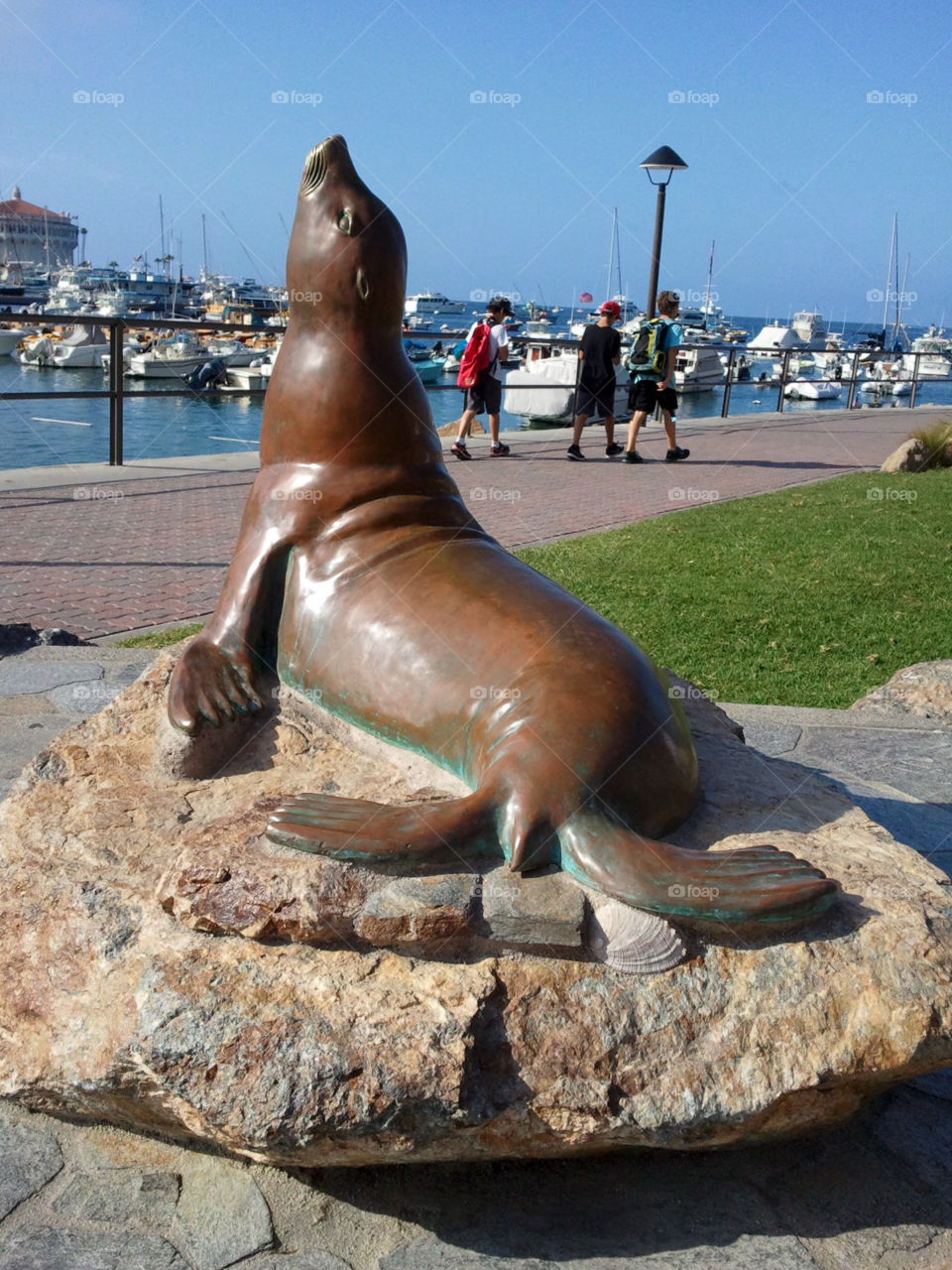 Bronze Seal Statue in Santa Catalina Island in Southern California