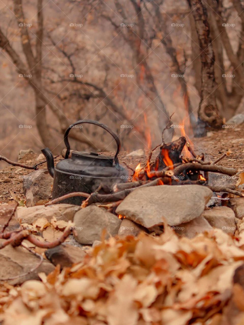 The light cold of Fall penetrates the body and a ray of golden sunlight shines!  the tea brewed on the woods has a pleasant taste of Fall...