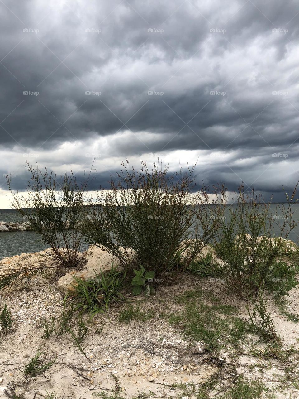 a storm brewing in apollo beach, florida 