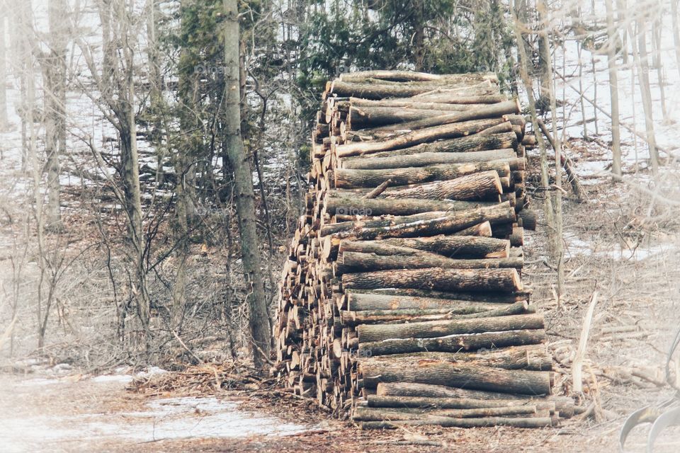 Midwest Logging
