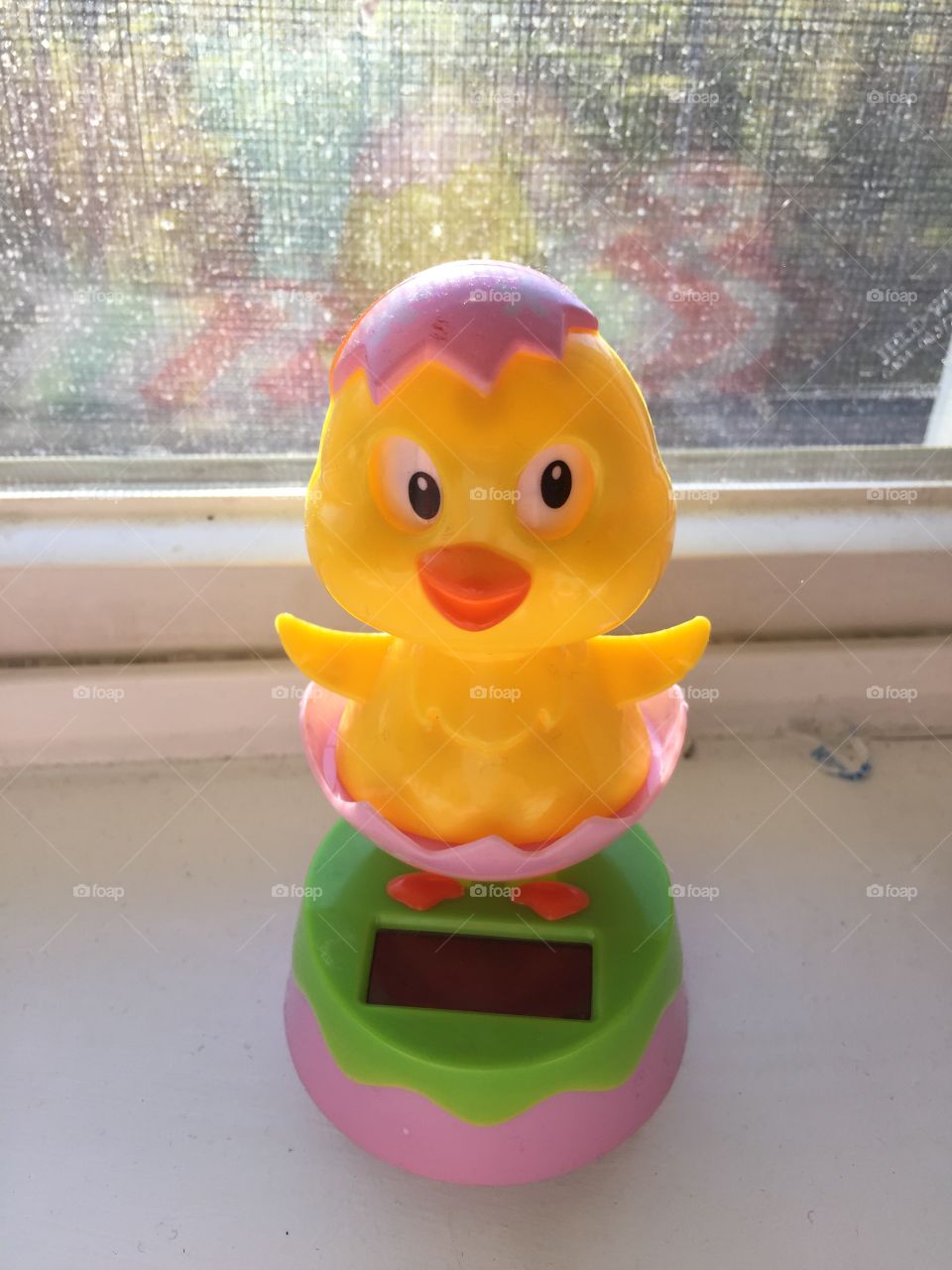 Toy duck 