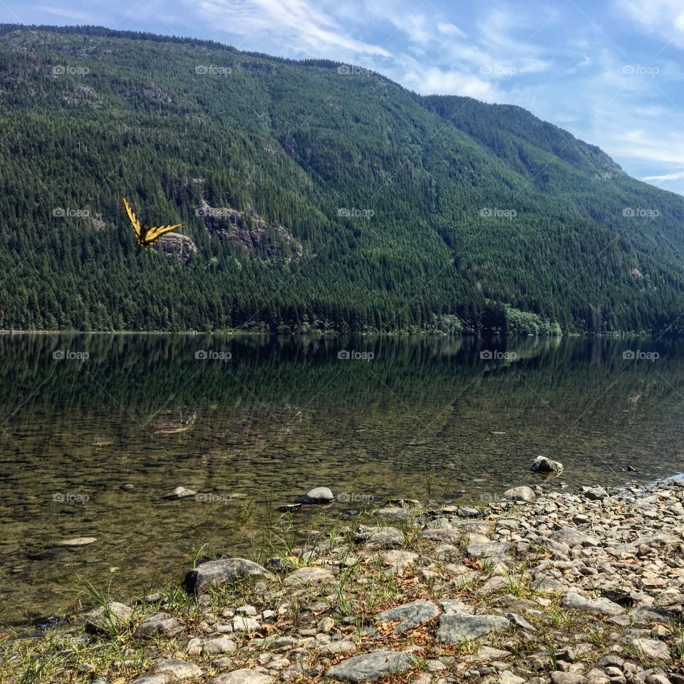 Lake days are the best kind of days - Roberts Lake, North Vancouver Island 
