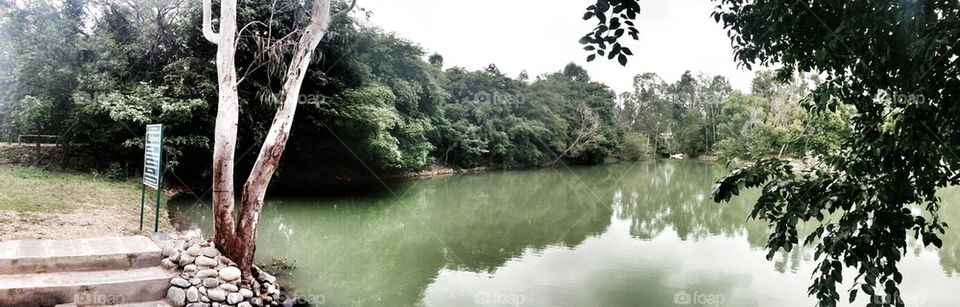green pond