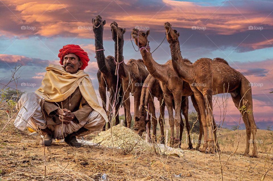 Camel Herder in Rajasthan