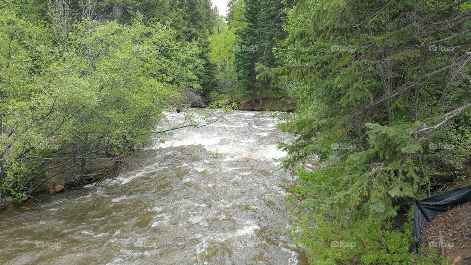 Looking  at the water from the Bridge