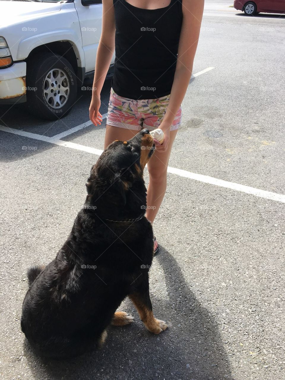 Bears day out, ending with His first ice cream