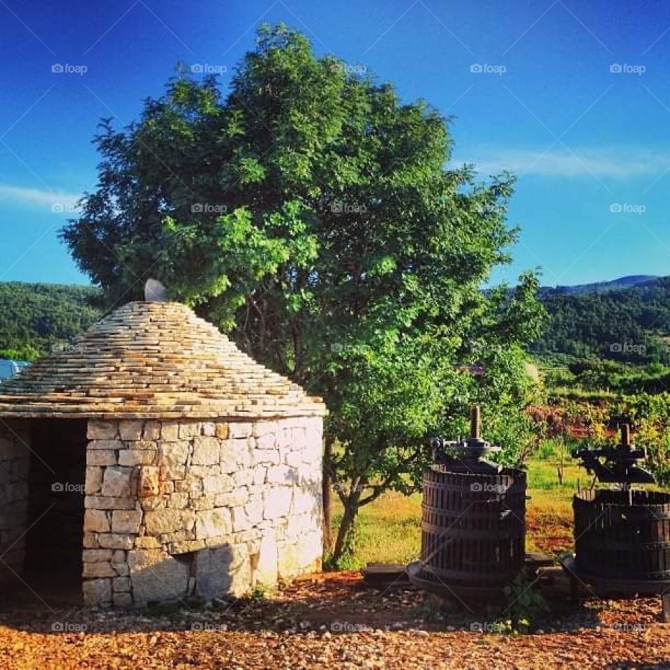 Hvar Svirce from croatia