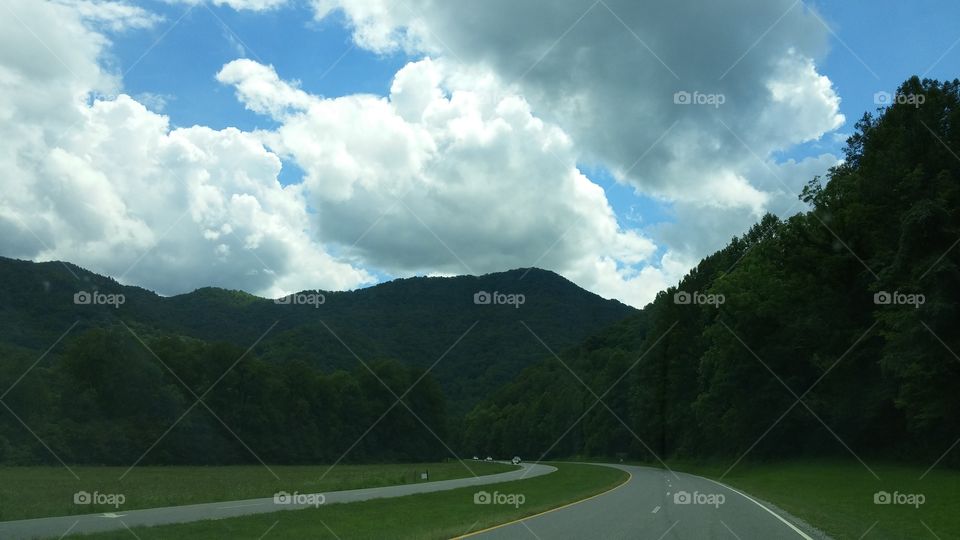 No Person, Landscape, Tree, Road, Travel