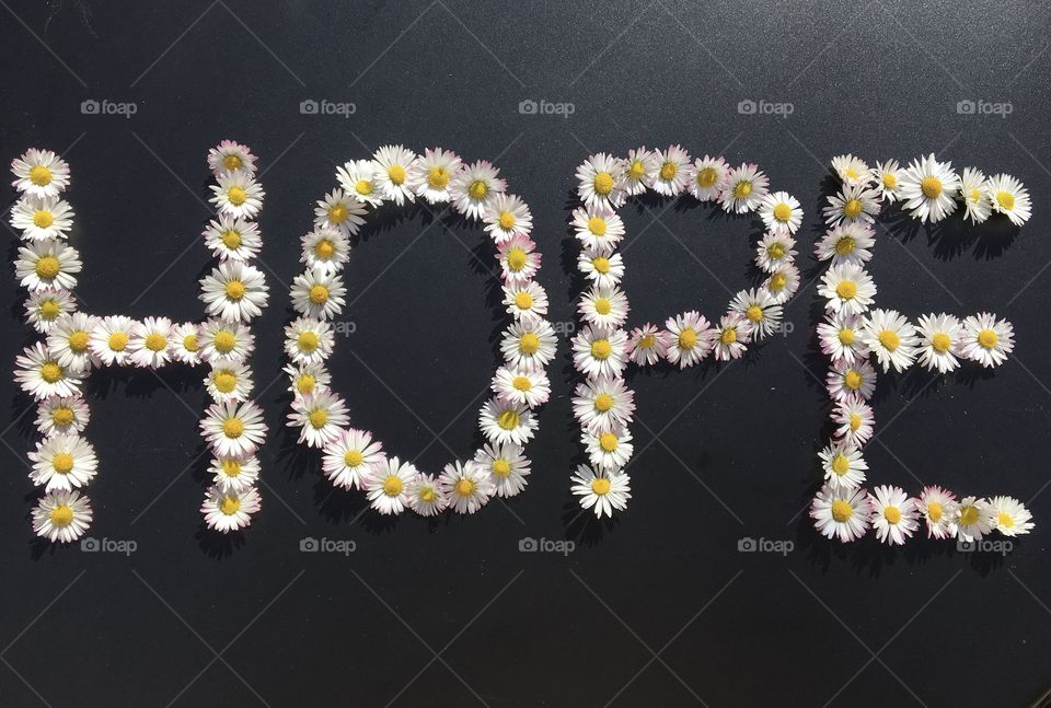 Spring flowers for hope message