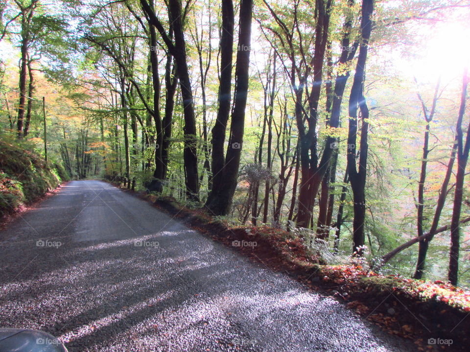 leading down from the hills of Exmoor into the valley below