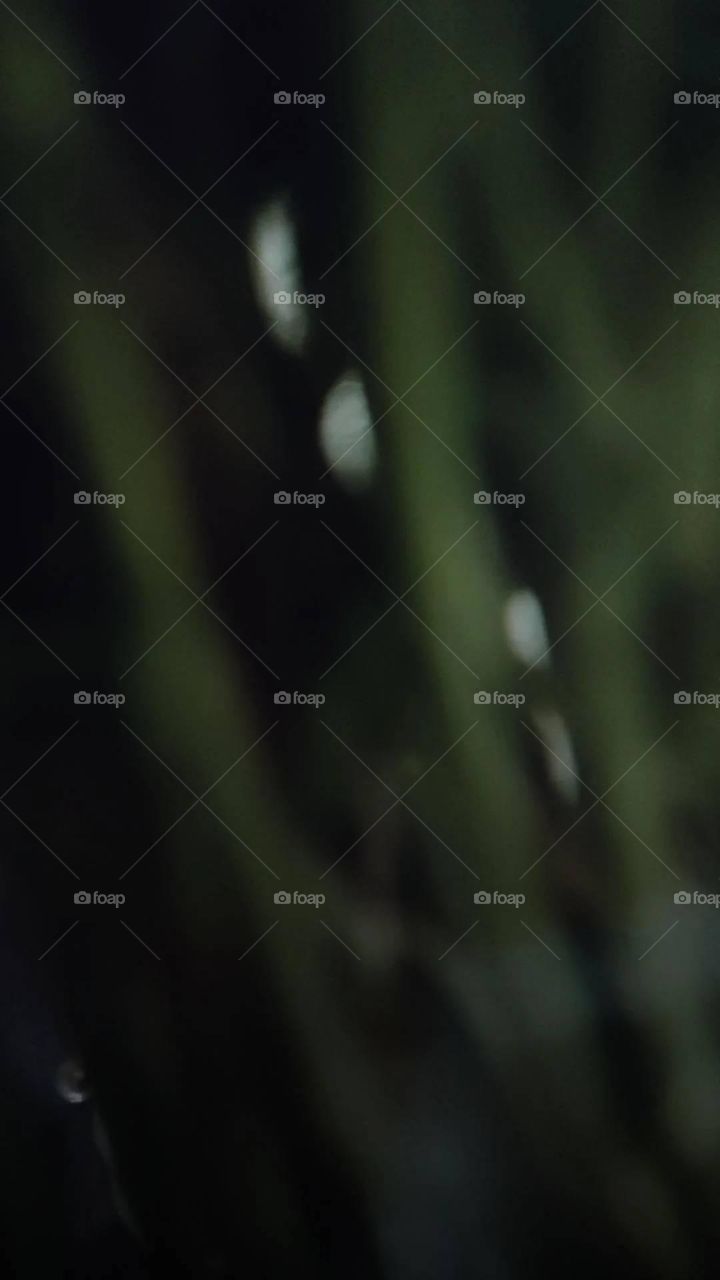 Black green abstract background, nature textures