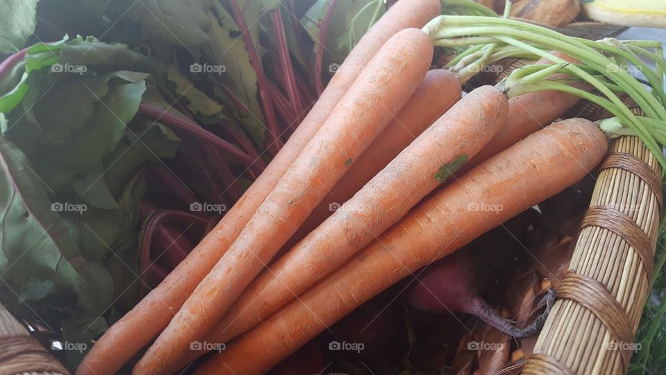 carrots from the garden