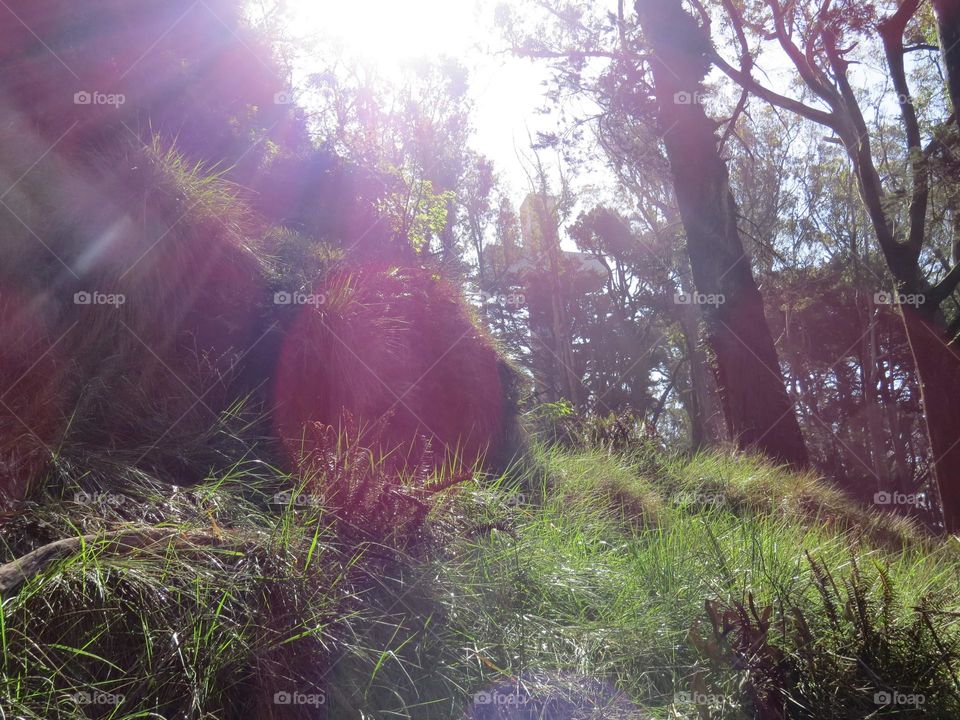 Waking up to a beautiful sun shining day!