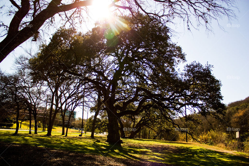 Park in Austin