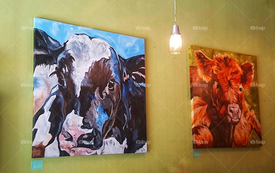 Cow paintings