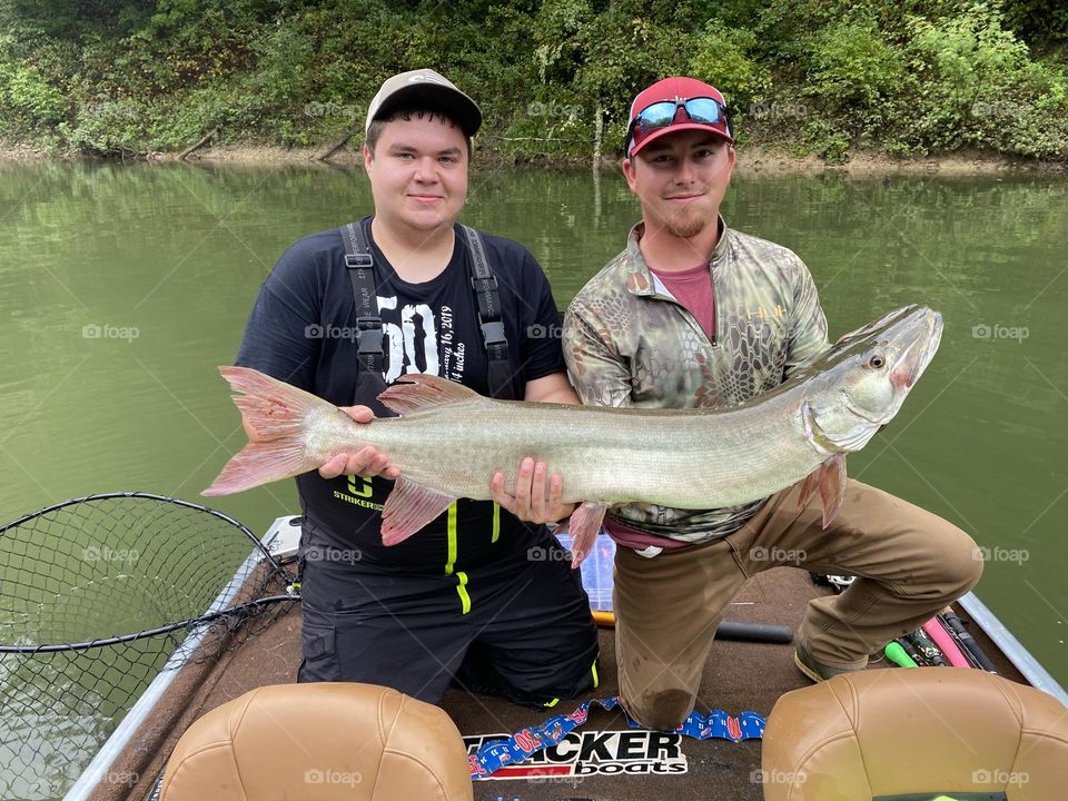 45 inch Muskie caught in cave run lake 