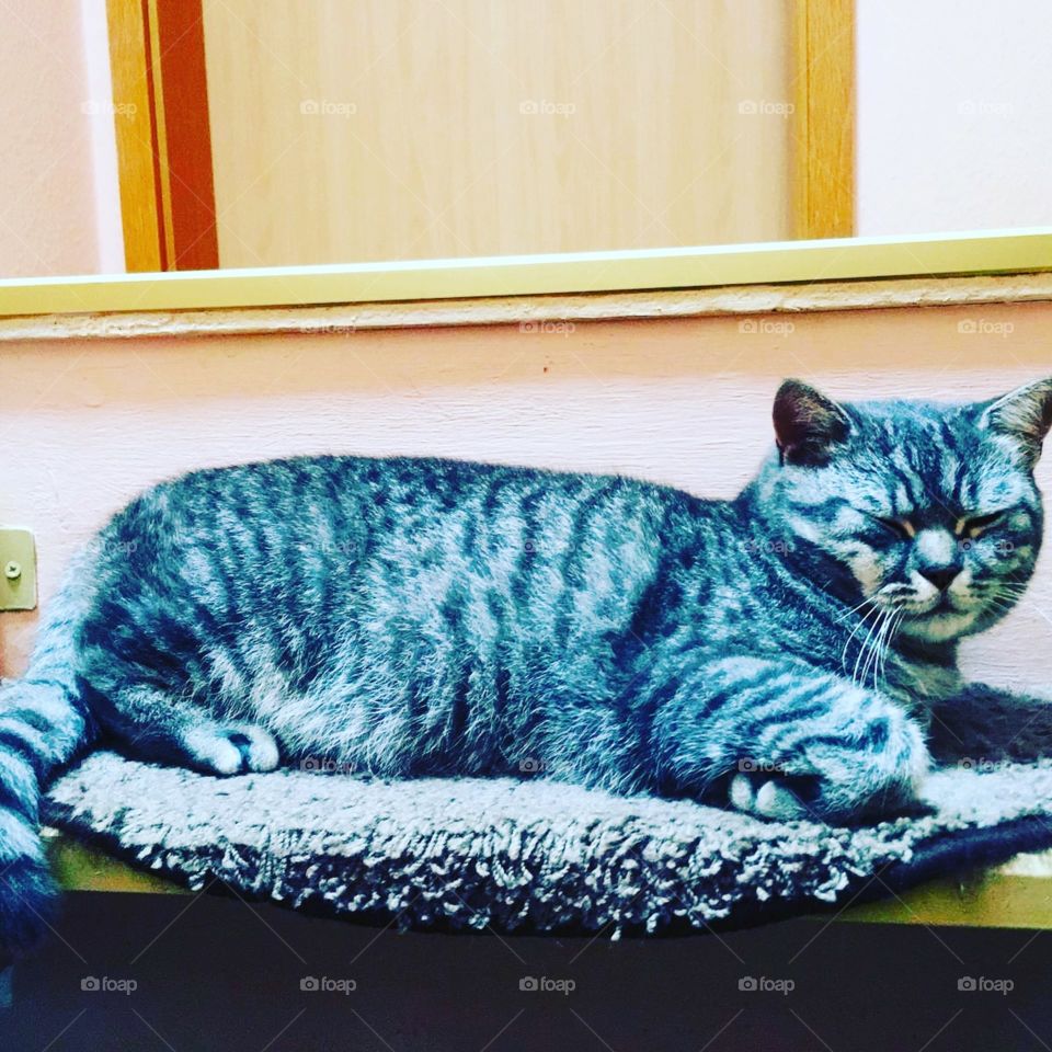 relax....take it easy