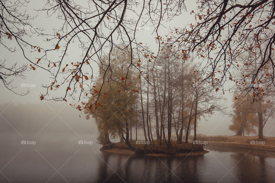 Misty landscape with pond in late autumn 