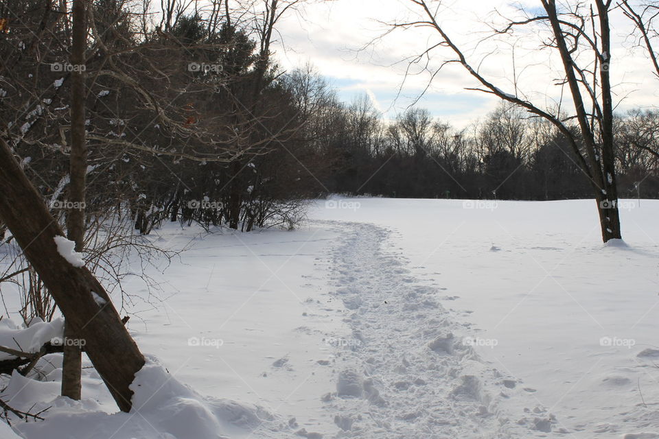 Snowy path 