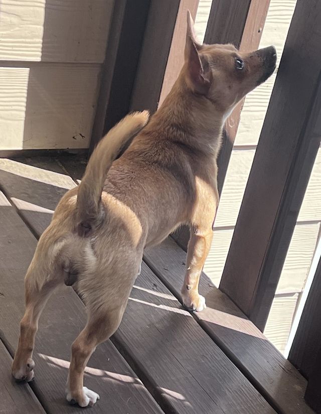 🐾