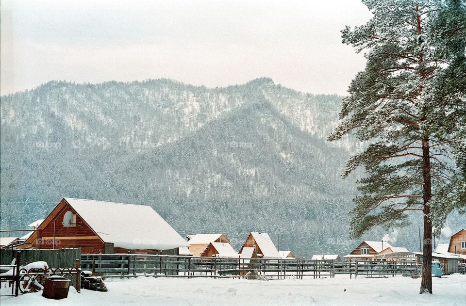 Mountains view in the winter 