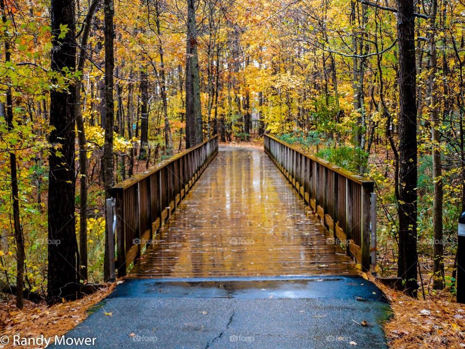 VA aquarium & wetlands