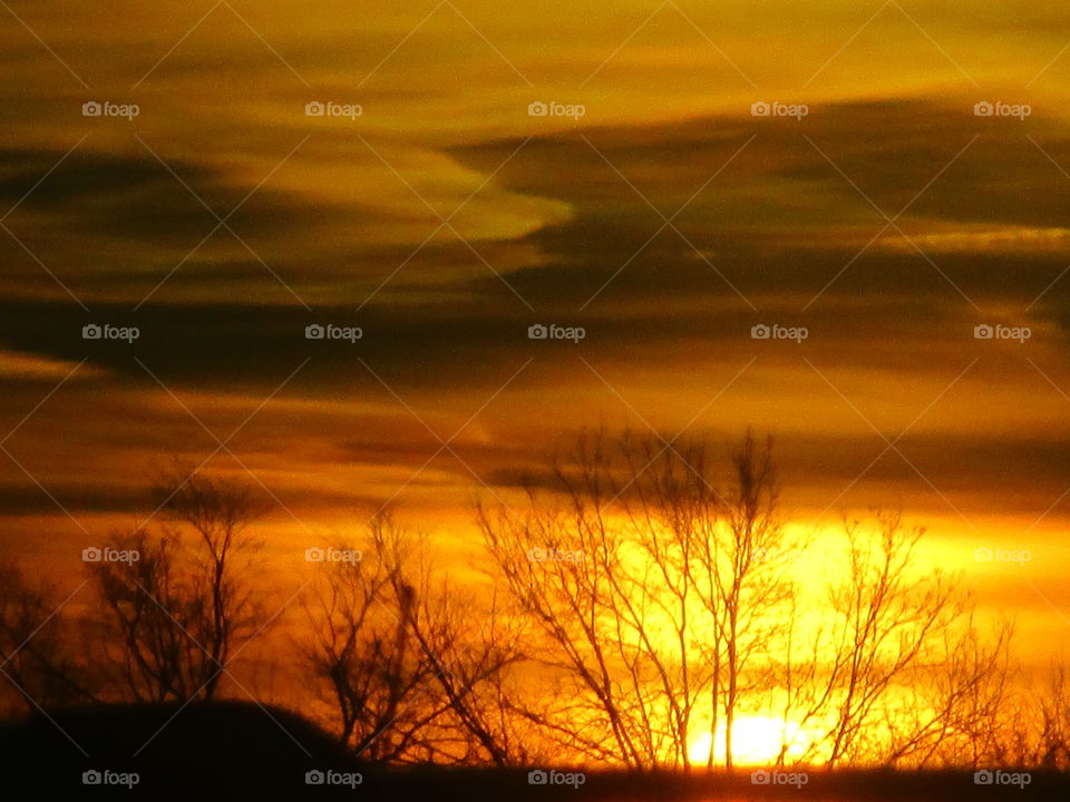 Beautiful sky and trees