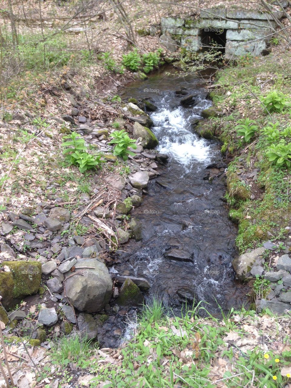 Down the crick with ya!