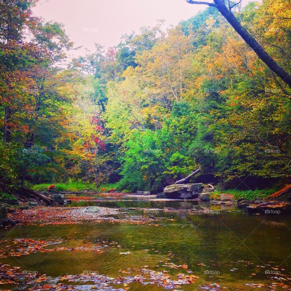 Balls falls gorge . Hiking at the niagara conservatory park.