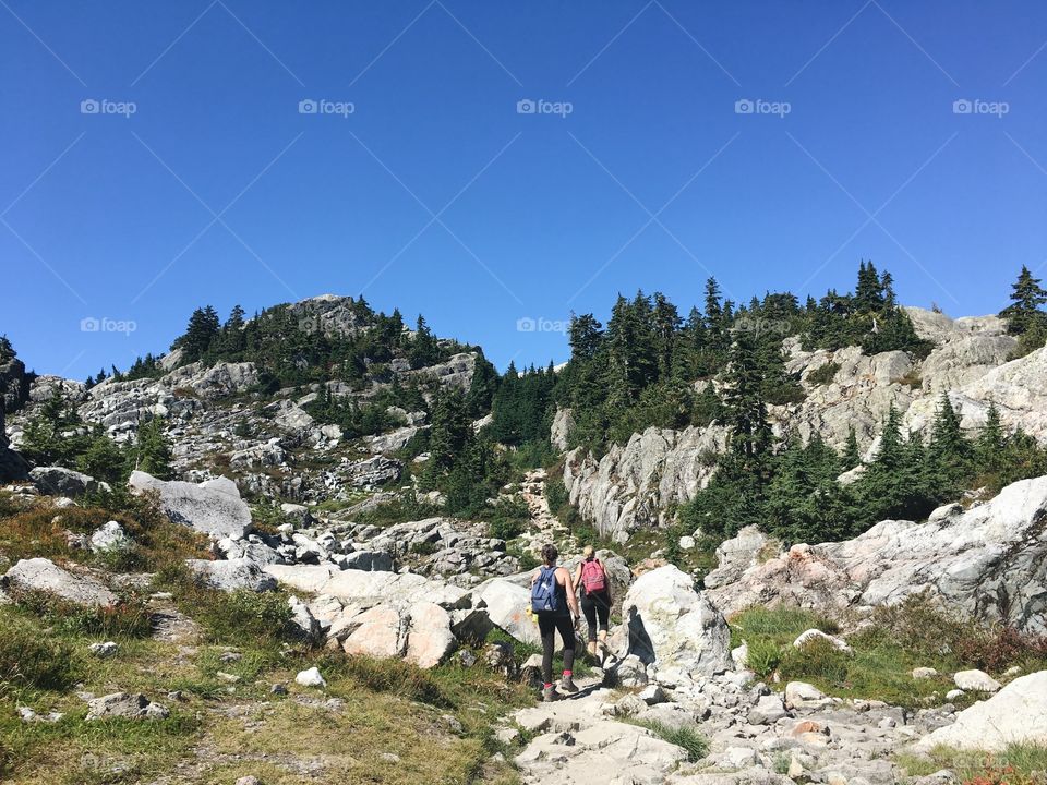 Mount Seymour hike with a group 