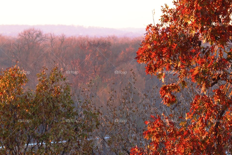 Overlooking southeast Missouri 