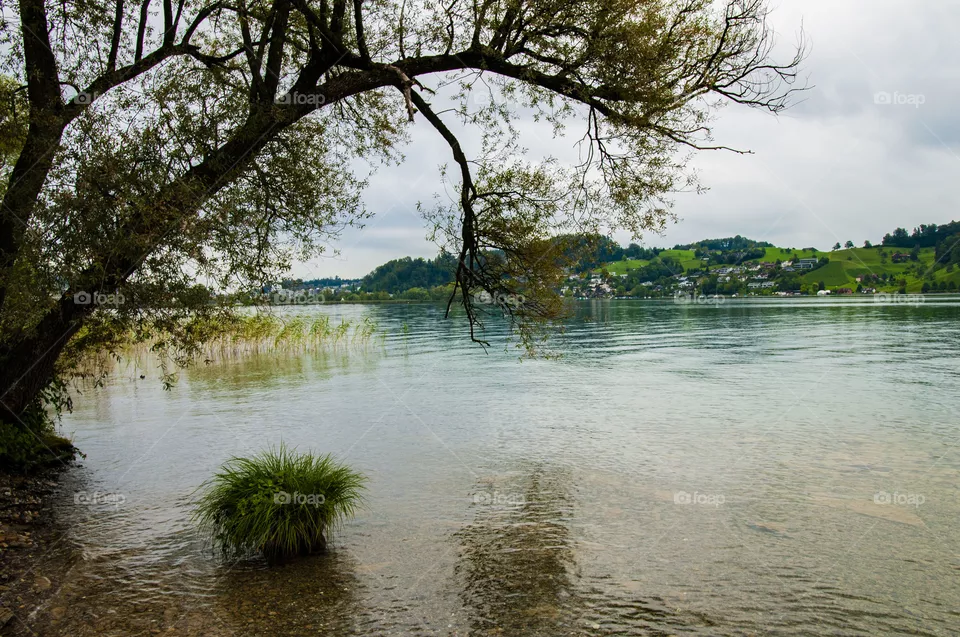 Lake